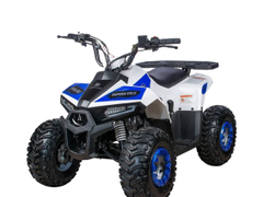 Квадроцикл YACOTA Raposa Pro Sport