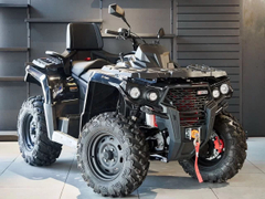 Квадроцикл AODES PathCross Max 650 Basic