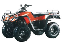 Квадроцикл EXPLORER Ranger EVO 300