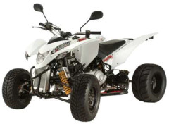 Квадроцикл EXPLORER Trasher 320 Supermoto