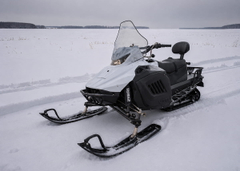 Снегоход IRBIS Tungus 500L EFI