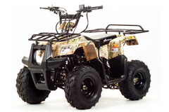 Квадроцикл MOTOLAND 110 Rider (2021 Г.)