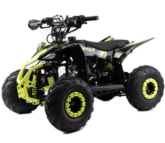 Квадроцикл MOTOLAND Raptor 110