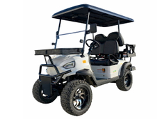 Гольфкар GREENCAMEL Linhai A22L (2+2, 4kW AC, R14 литые) LUX lifted