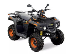 Квадроцикл DINLI 450 R