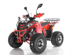 Квадроцикл WELS Thunder Evo X