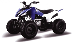 Квадроцикл MOTOLAND 150S