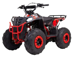 Квадроцикл RAPTOR Dux 8