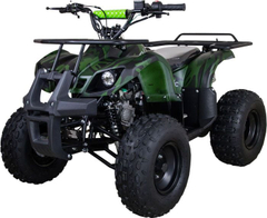Квадроцикл RAPTOR ATV 200U Lux All 200cc 4Т