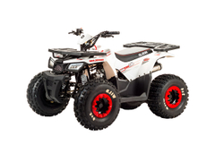 Квадроцикл MOTOLAND 125 Wild