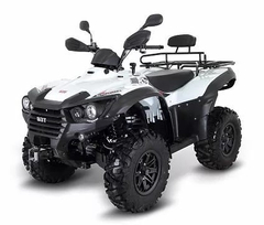Квадроцикл TGB Blade 500 SL (ПСМ)
