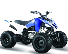 Квадроцикл МОТОМИР Pantera 125