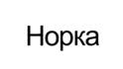 Норка