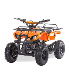 Квадроцикл MOTAX ATV Grizlik LUX 125cc