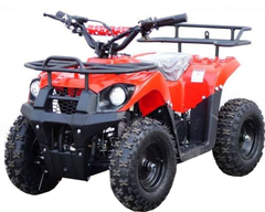 Квадроцикл STALKER 50