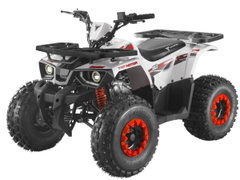 Квадроцикл TAO MOTOR Hunter 125