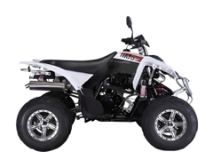 Квадроцикл RATO RТ250SТ-2