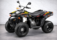 Квадроцикл STELS ATV 110A Hugo