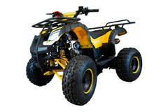 Квадроцикл FUXIN SIMPLE 8 new 125