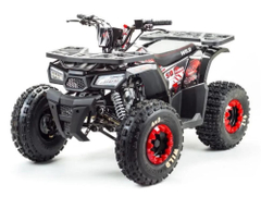 Квадроцикл MOTOLAND Wild 150