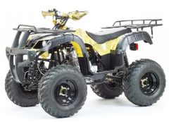 Квадроцикл STALKER 250