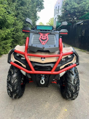 Квадроцикл AODES PathCross 650L Mud Pro EPS 2025 (ПСМ)