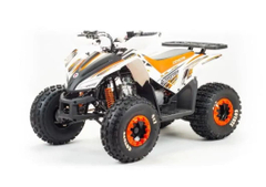 Квадроцикл MOTOLAND 125 Coyote (2021 Г.)